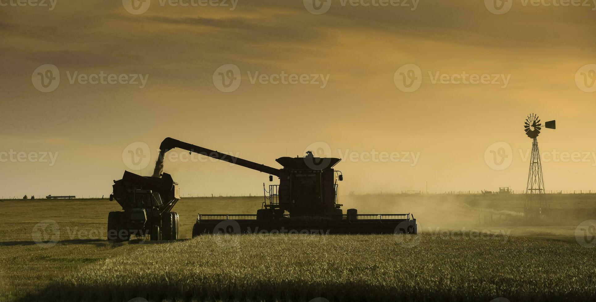 segador máquina, cosecha en el argentino campo, buenos aires provincia, argentina. foto