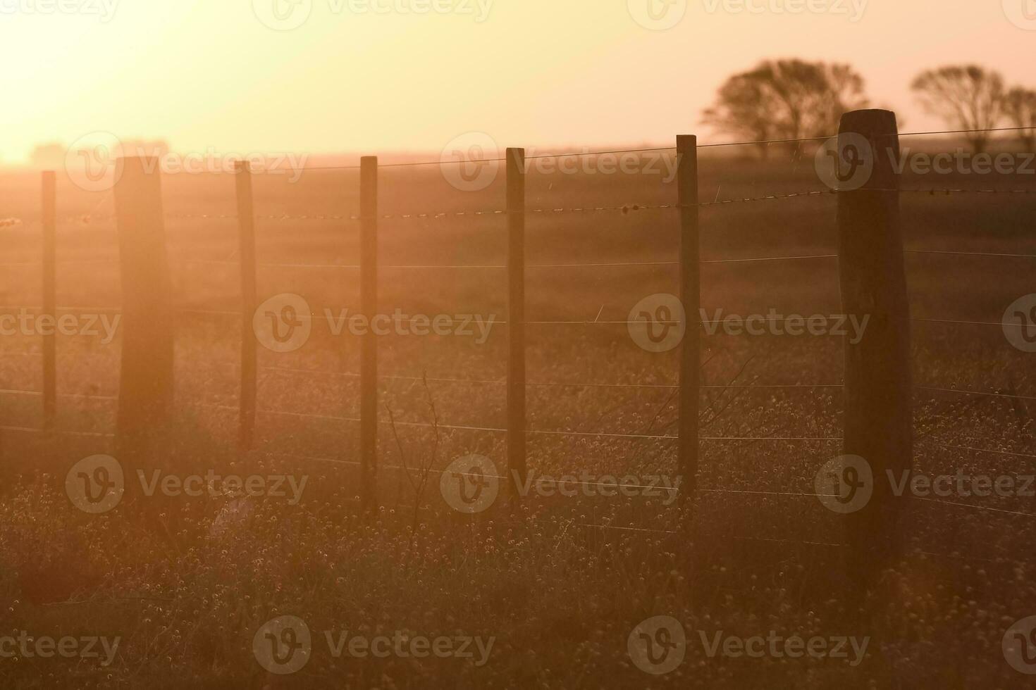 Wire fence at sunset in the Argentine countryside. photo