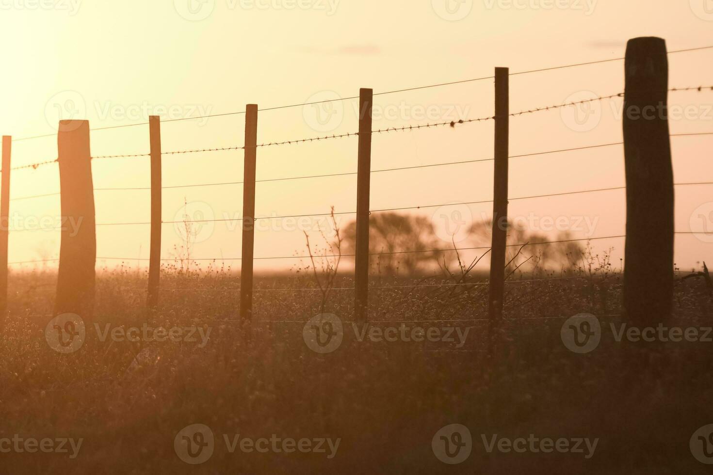 Wire fence at sunset in the Argentine countryside. photo