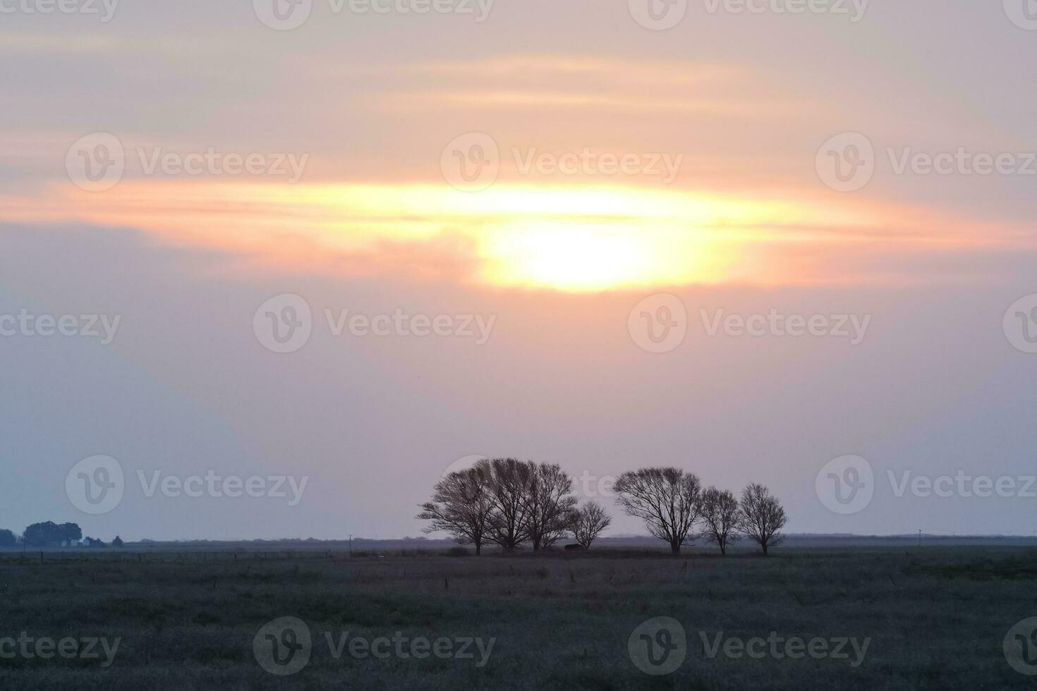 Pampas sunset landscape, La pampa, Argentina photo