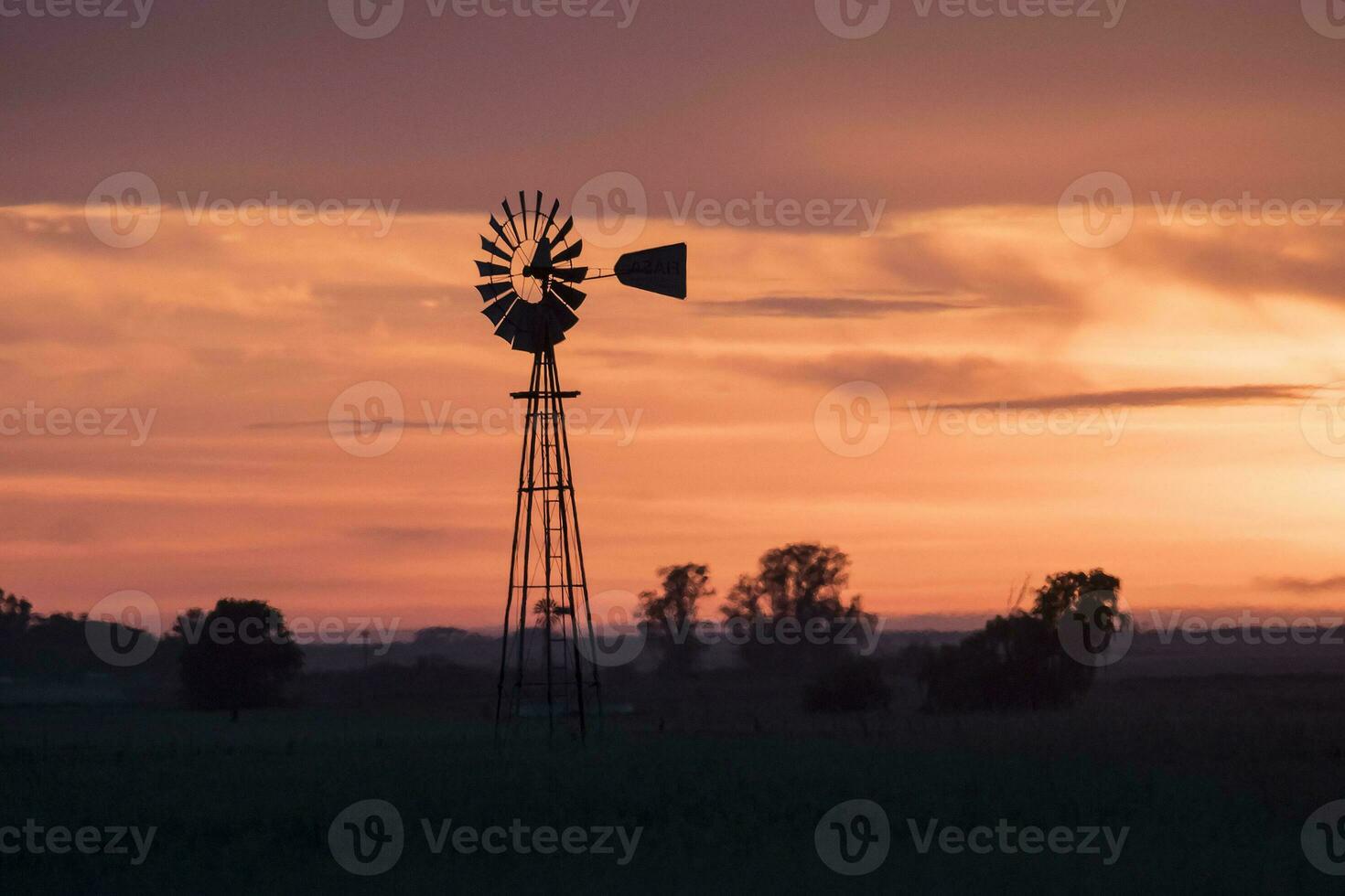 Pampas sunset landscape, La pampa, Argentina photo