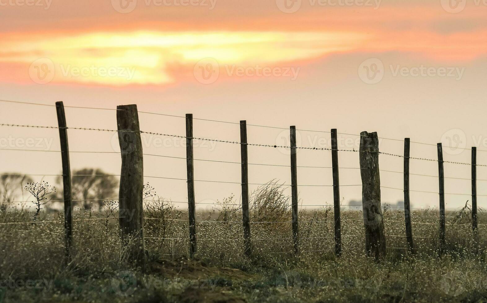 cable cerca a puesta de sol en el argentino campo. foto