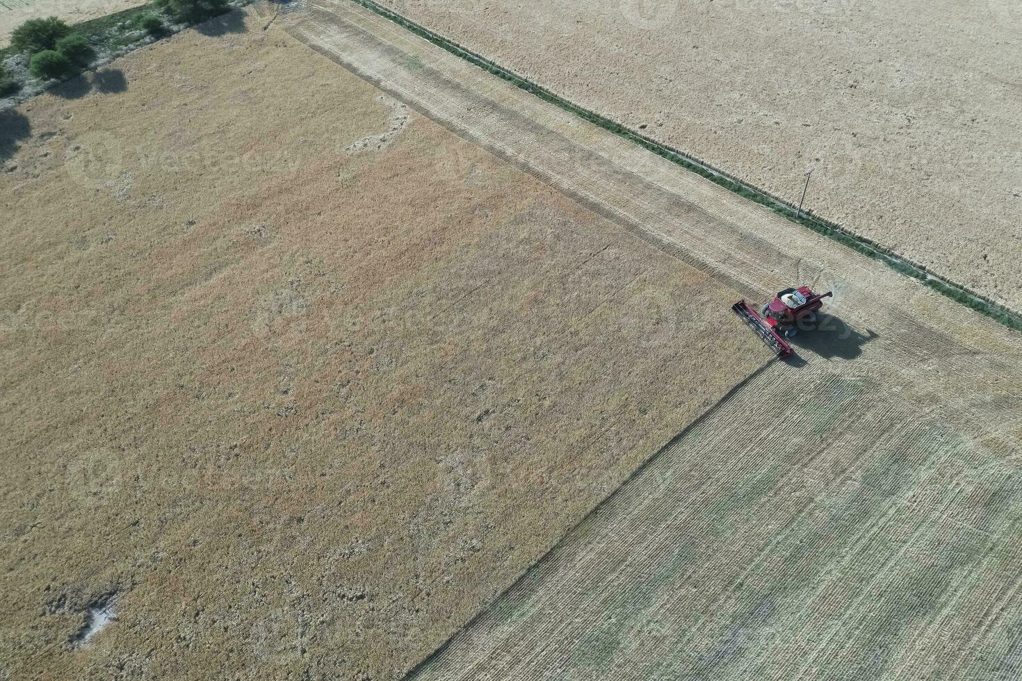 Wheat harvest in the Argentine countryside, La Pampa province, Patagonia, Argentina. photo