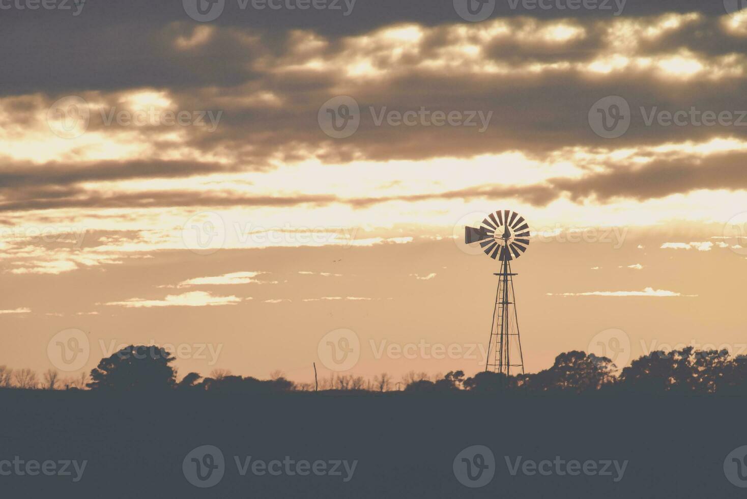Landscape with windmill at sunset, Pampas, Patagonia,Argentina photo