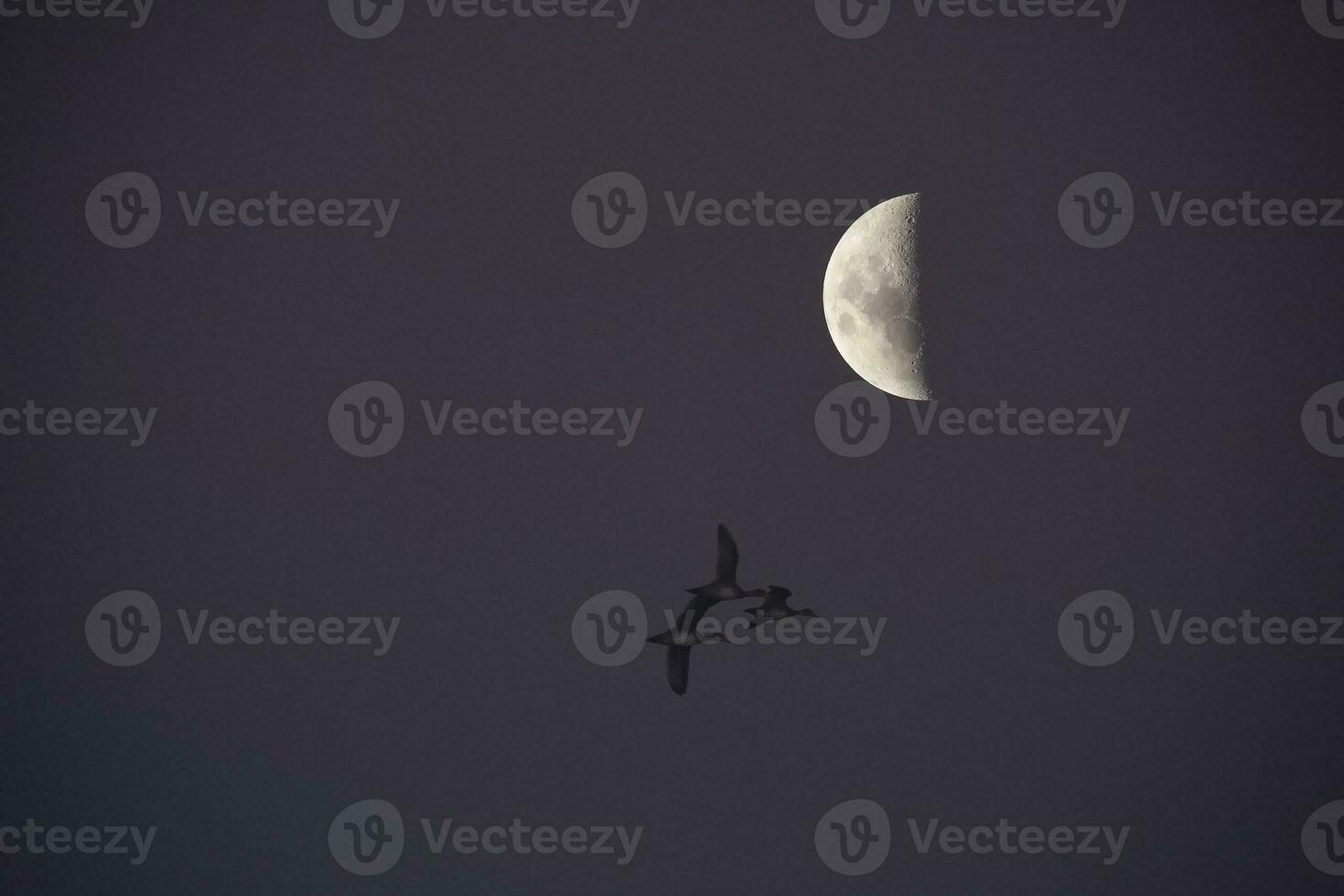 Moon in a clear sky before dark photo