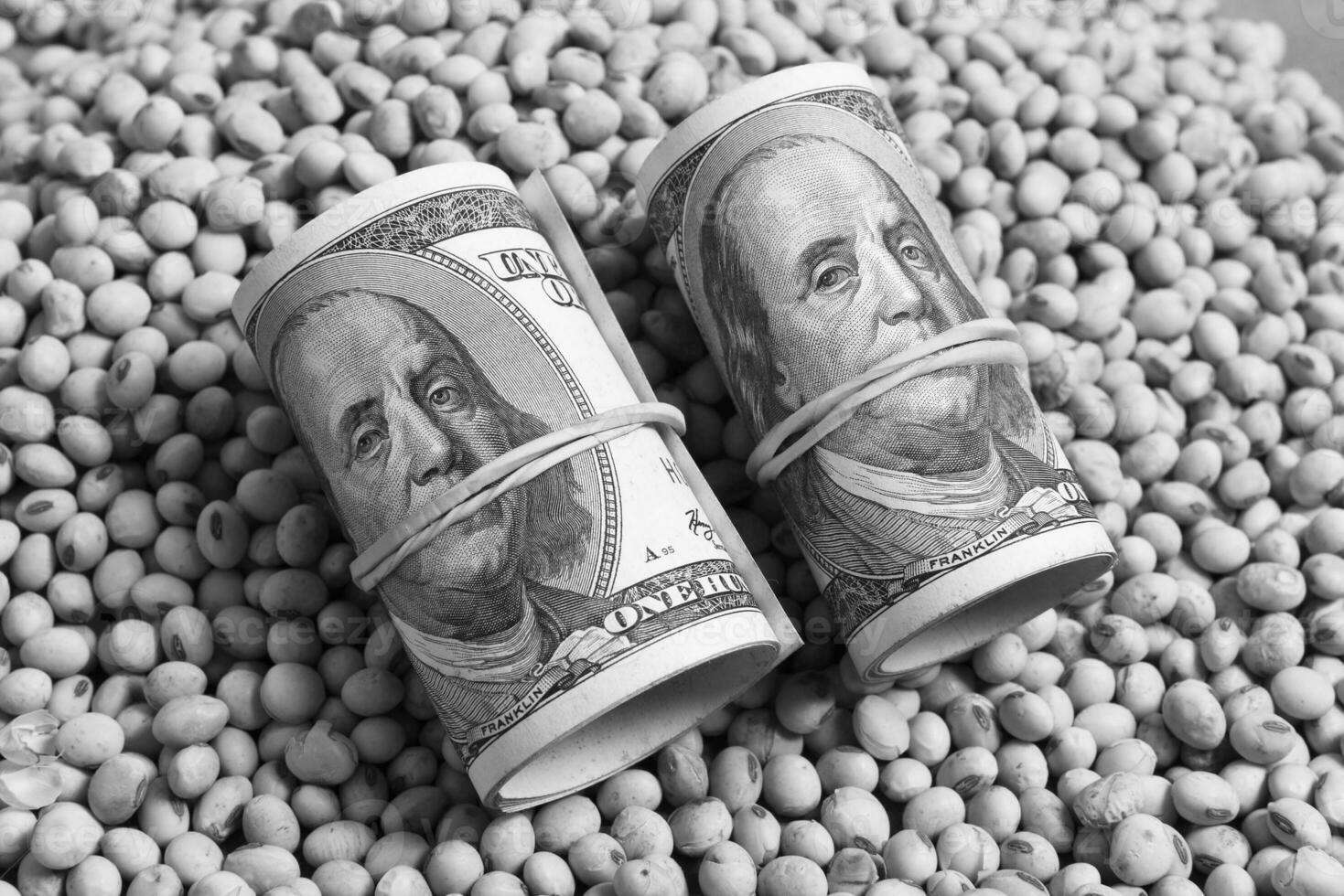 Dollars banknotes and coins and soy beans,oleaginous commoditi value concept. photo