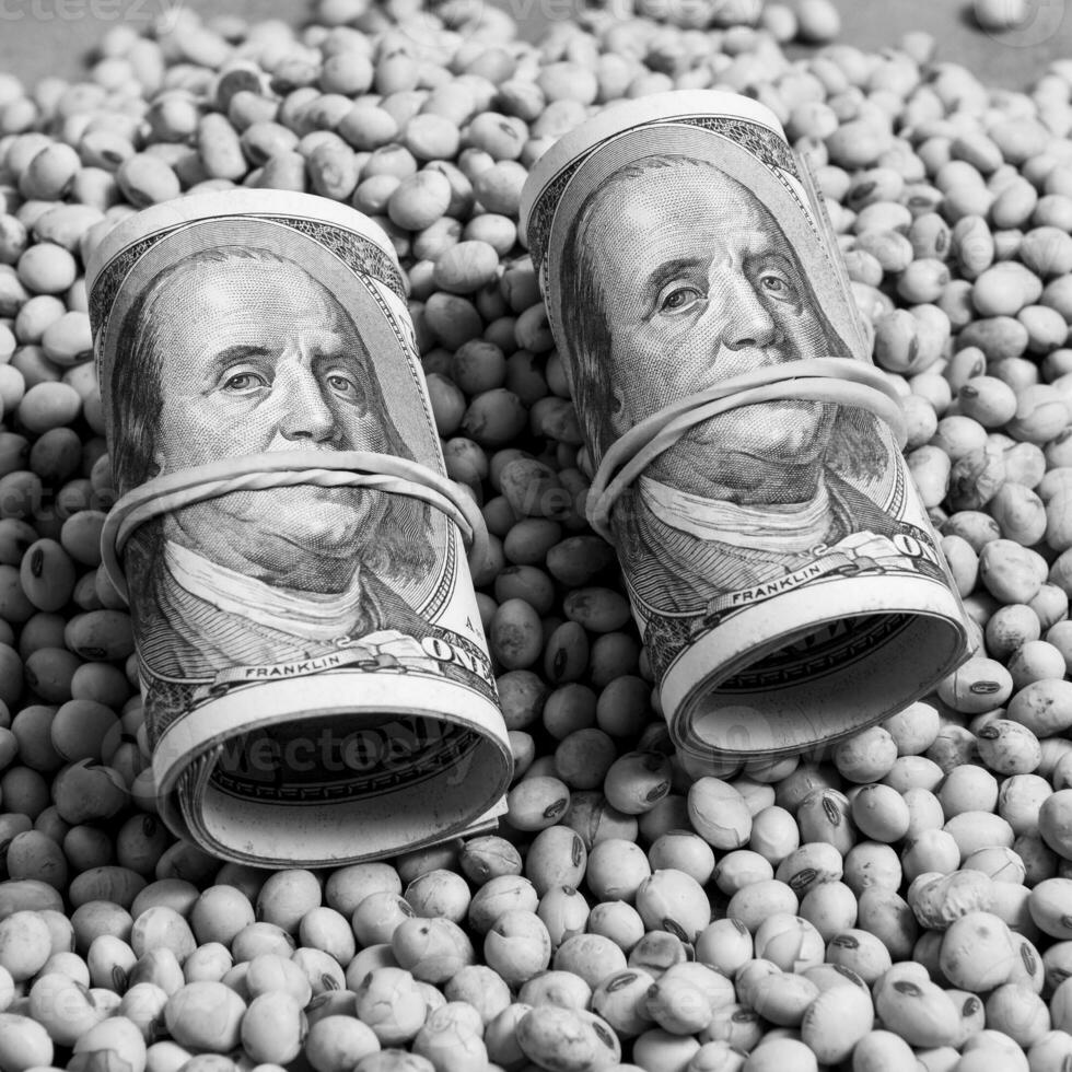 Dollars banknotes and coins and soy beans,oleaginous commoditi value concept. photo