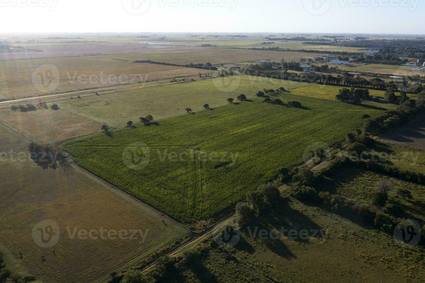 Argentina countryside , aerial view, La Pampa Province, Patagonia, Argentina. photo