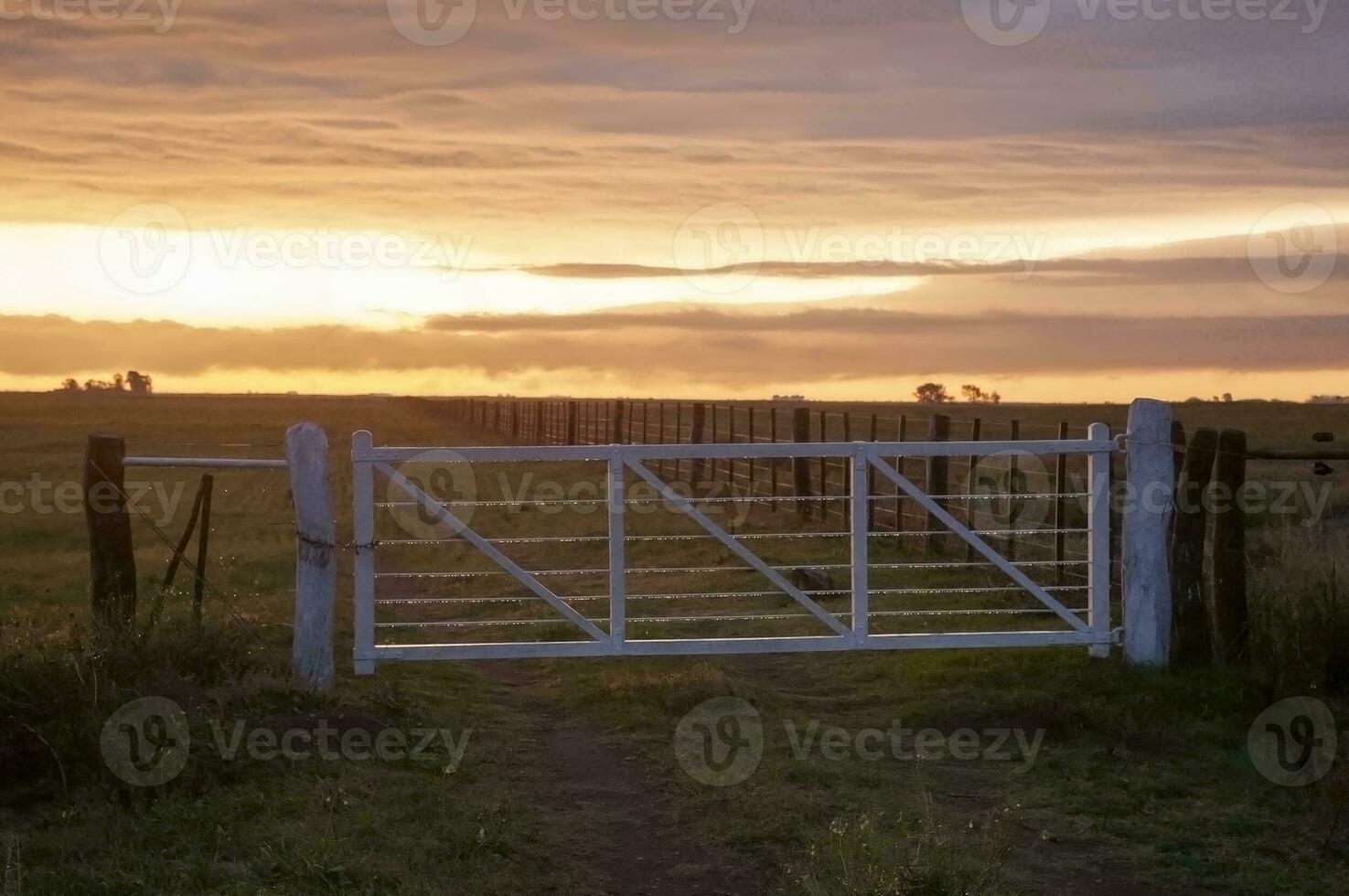 Field gateway in countryside, Buenos Aires province, Patagonia , Argentina photo