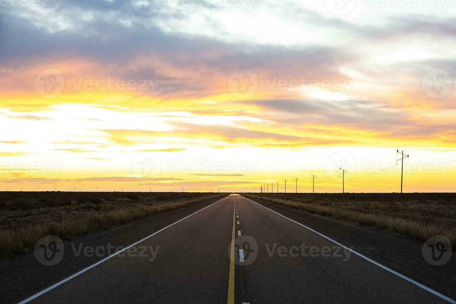 Route in Peninsula Valdes, Chubut Province, Patagonia, Argentina. photo