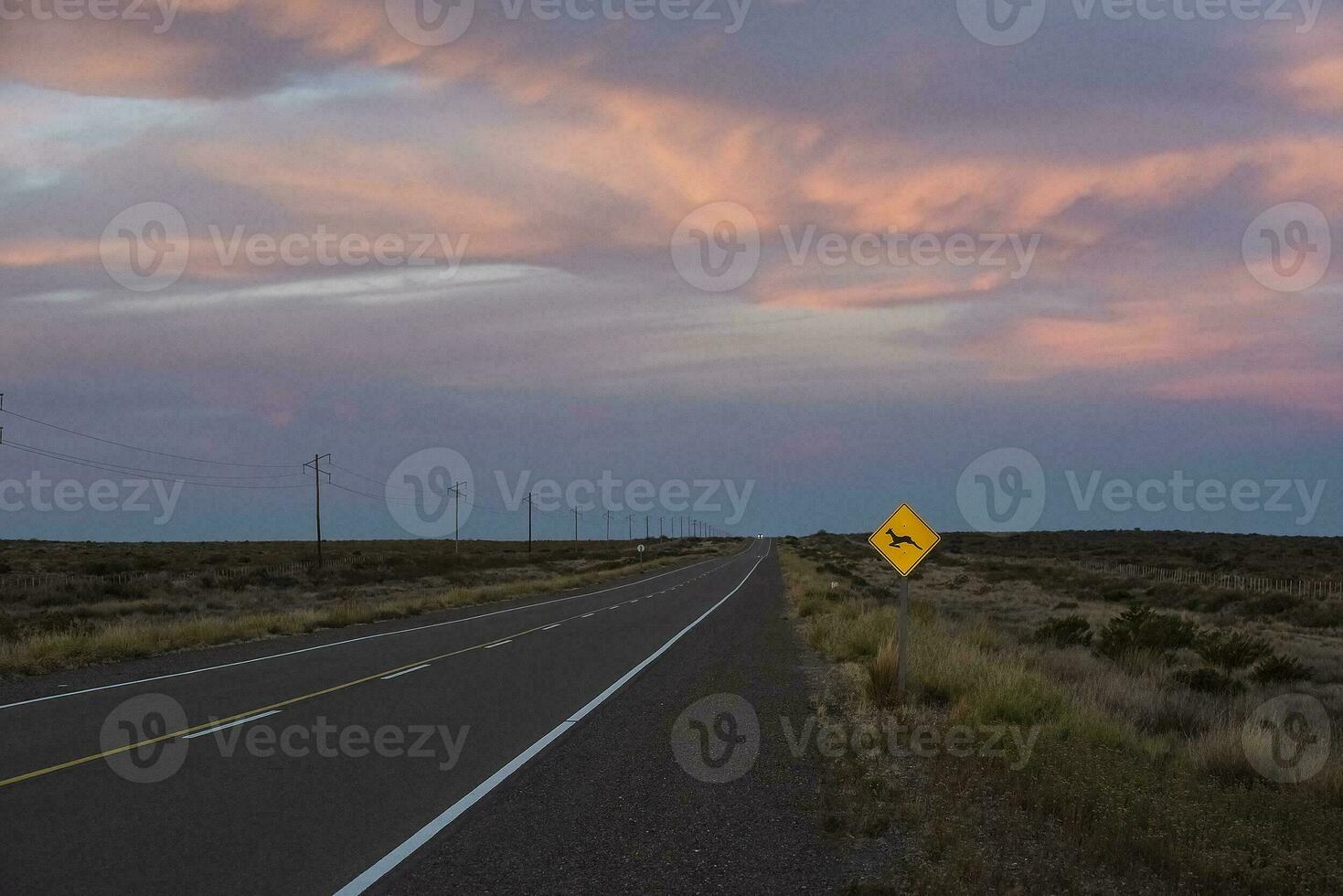 Route in the Pampas plain, Patagonia, Argentina photo