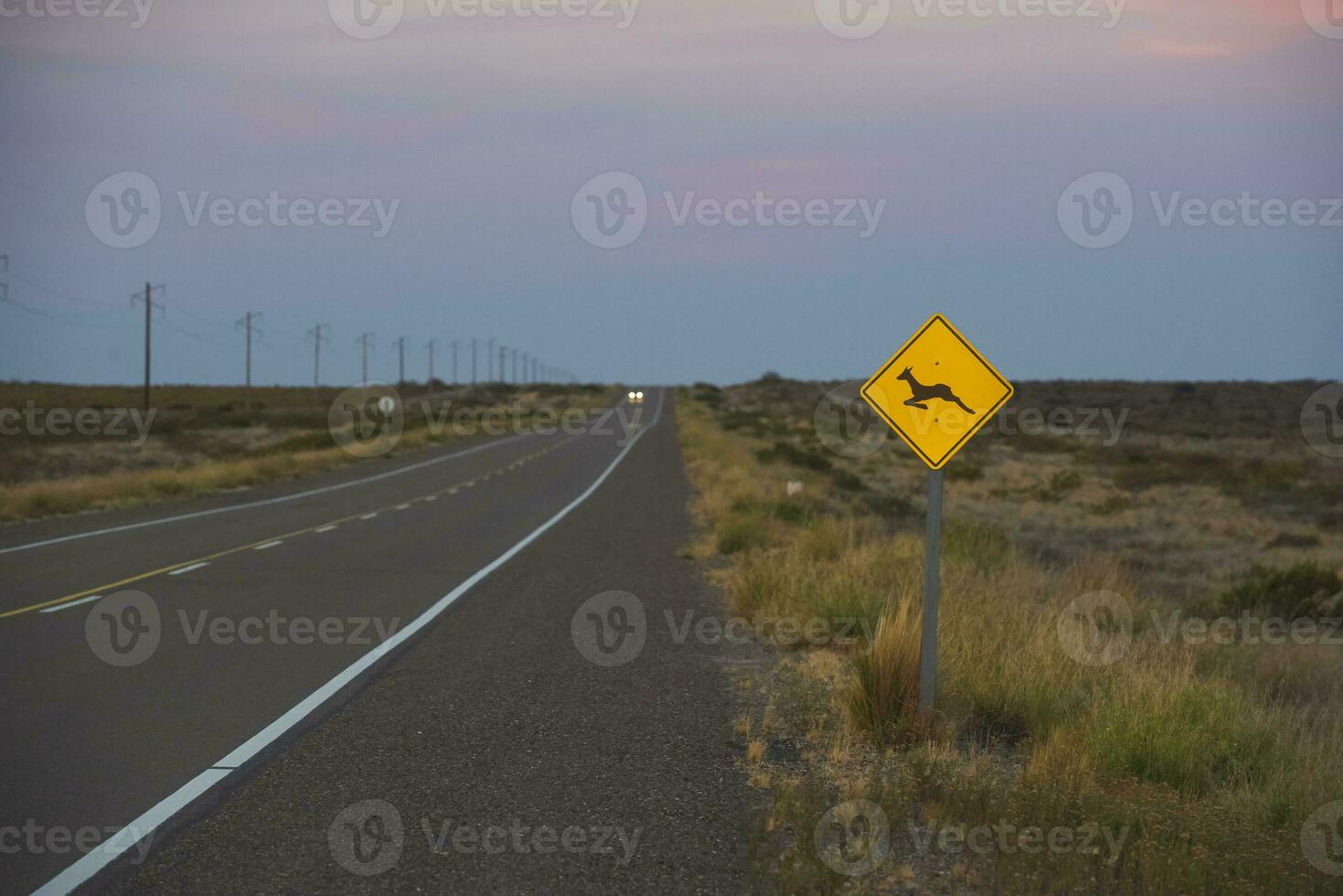 Route in the Pampas plain, Patagonia, Argentina photo