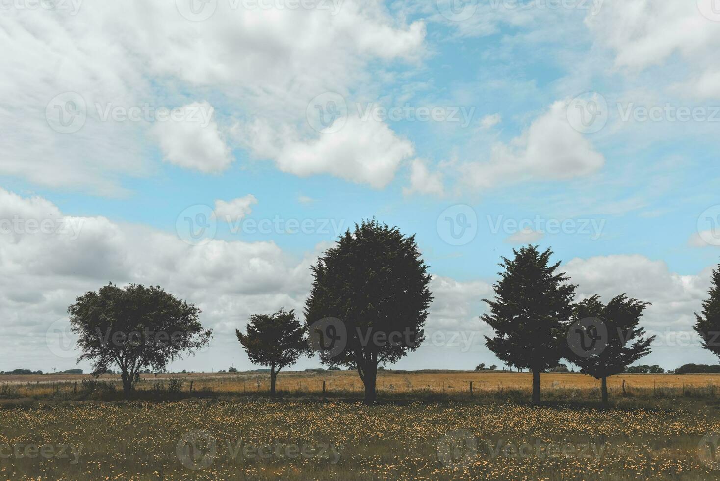 Flowery landscape in vintage color effect photo