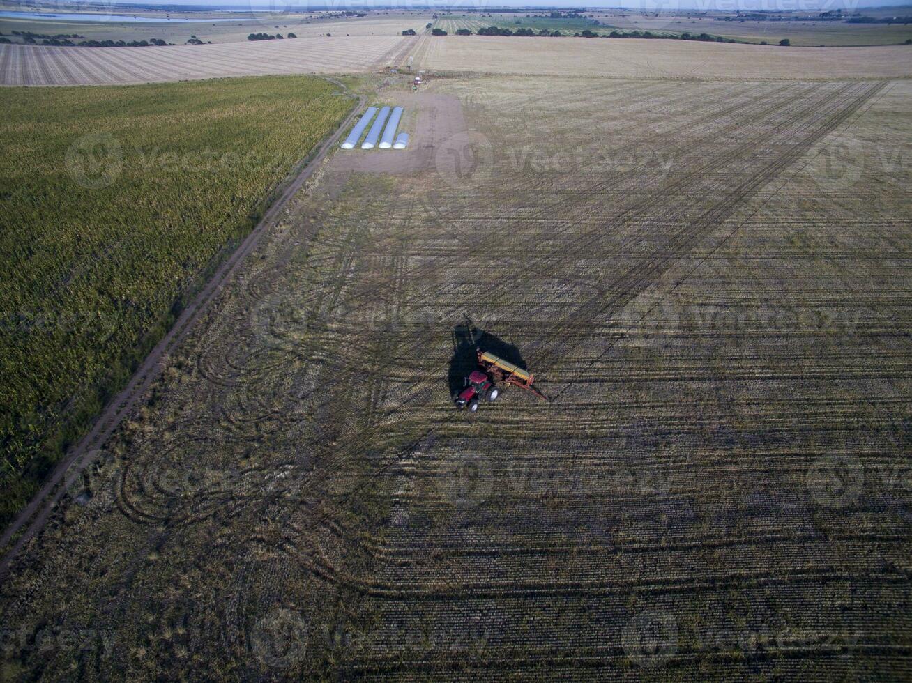 Direct seeding, agricultural machinery, in La Pampa, patagonia, Argentina photo