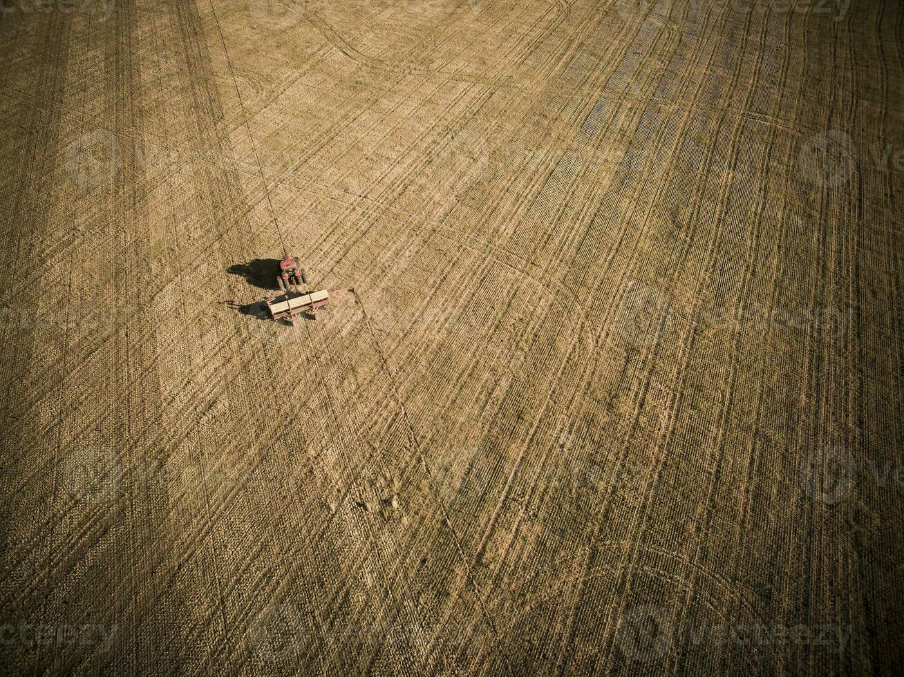 Direct seeding, agricultural machinery, in La Pampa, patagonia, Argentina photo