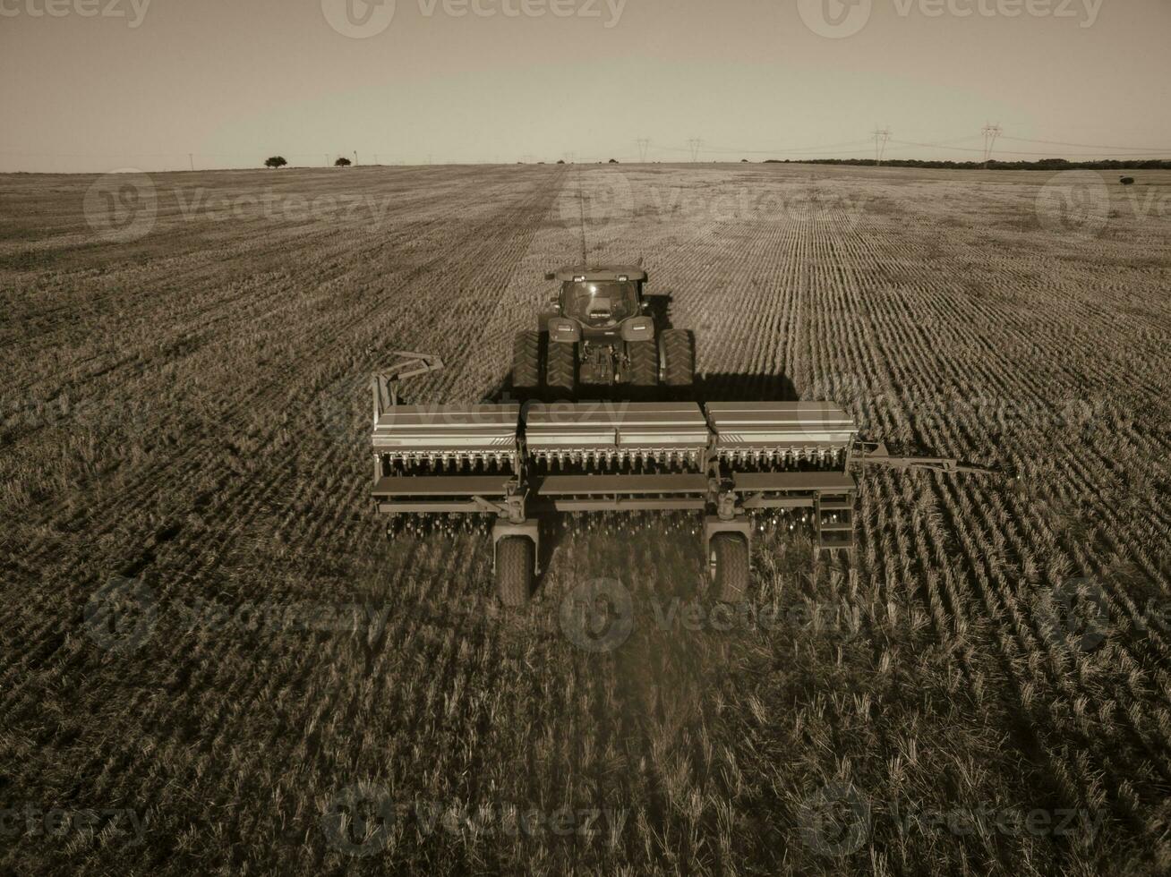 directo siembra, agrícola maquinaria, en la pampa, Patagonia, argentina foto