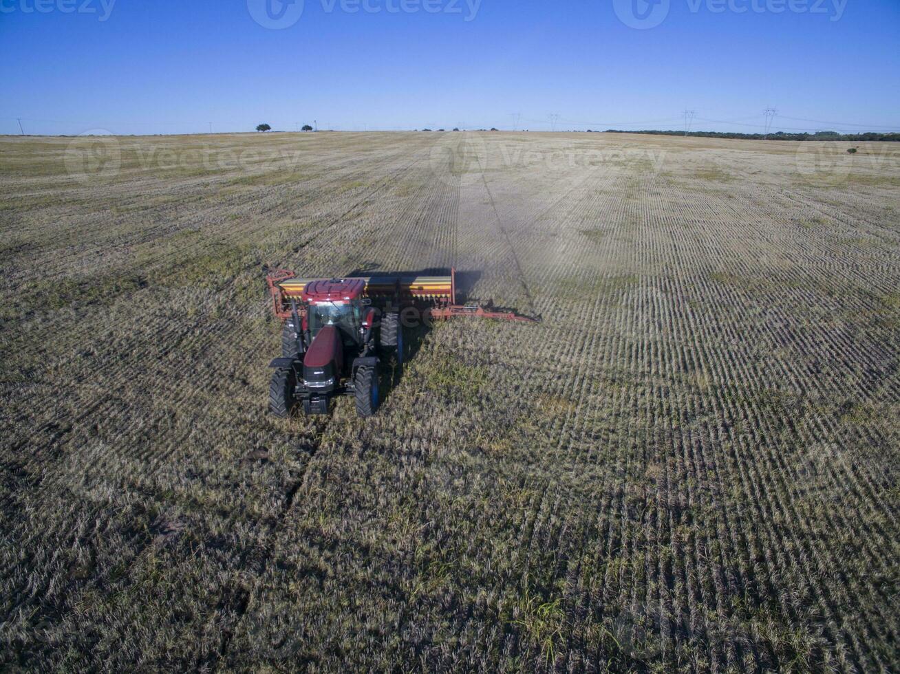 Direct seeding, agricultural machinery, in La Pampa, patagonia, Argentina photo