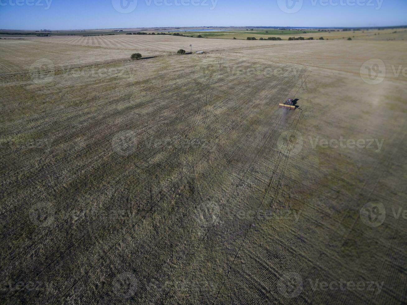 directo siembra, agrícola maquinaria, en la pampa, Patagonia, argentina foto