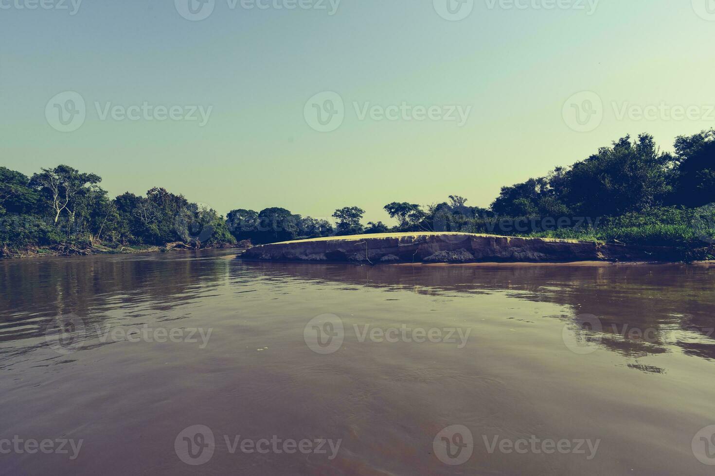 Pantanal forest ecosystem, Mato Grosso, Brazil photo