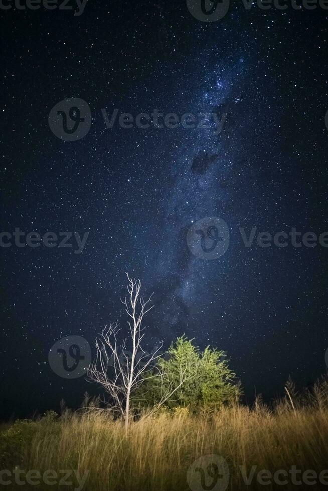 Pampas landscape photographed at night with a starry sky, La Pampa province, Patagonia , Argentina. photo