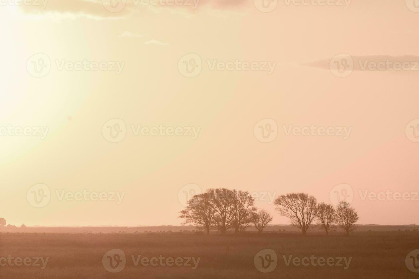 Pampas sunset landscape, La pampa, Argentina photo