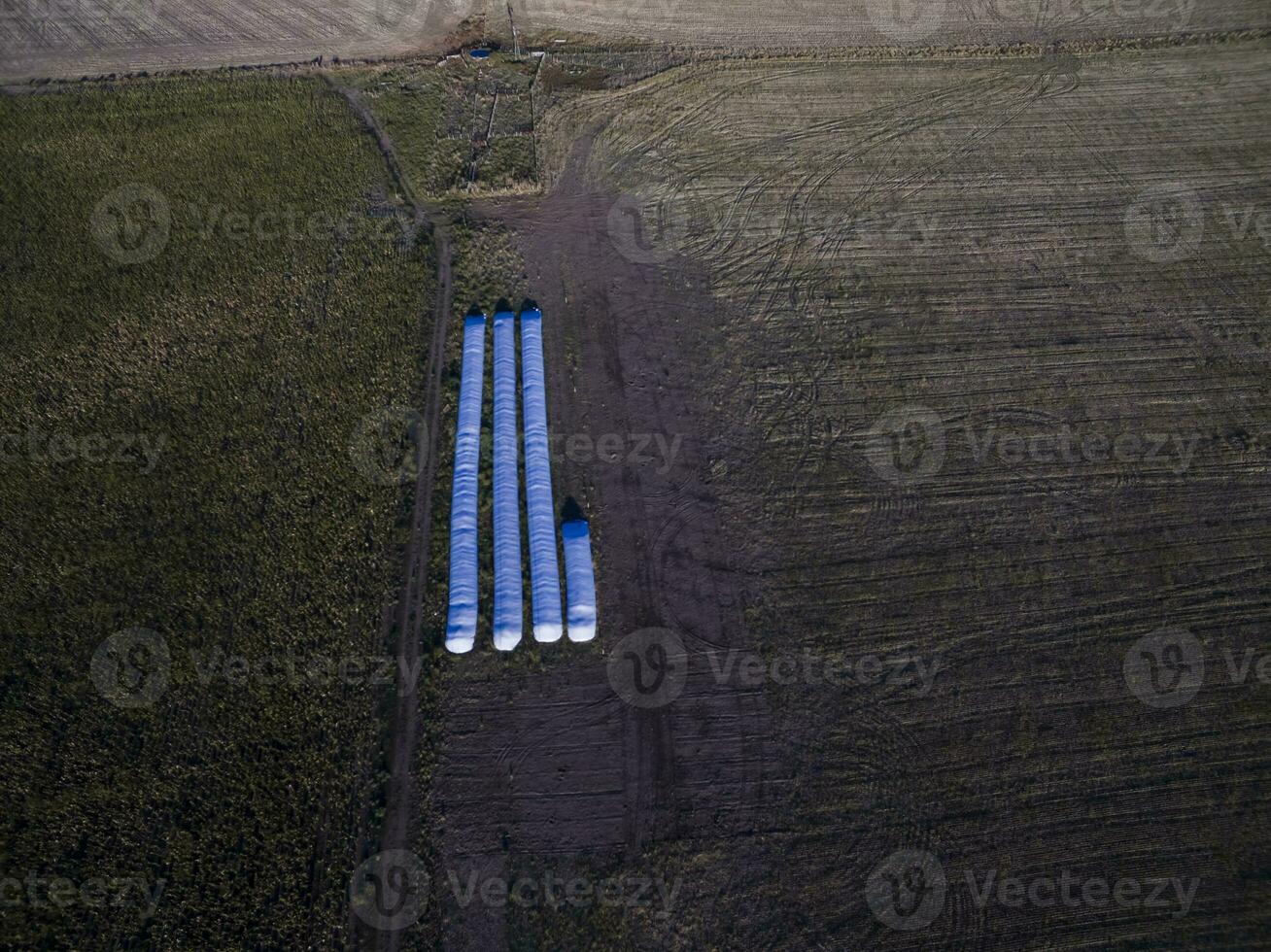 Silo bag, grain storage in La Pampa, Argentina photo