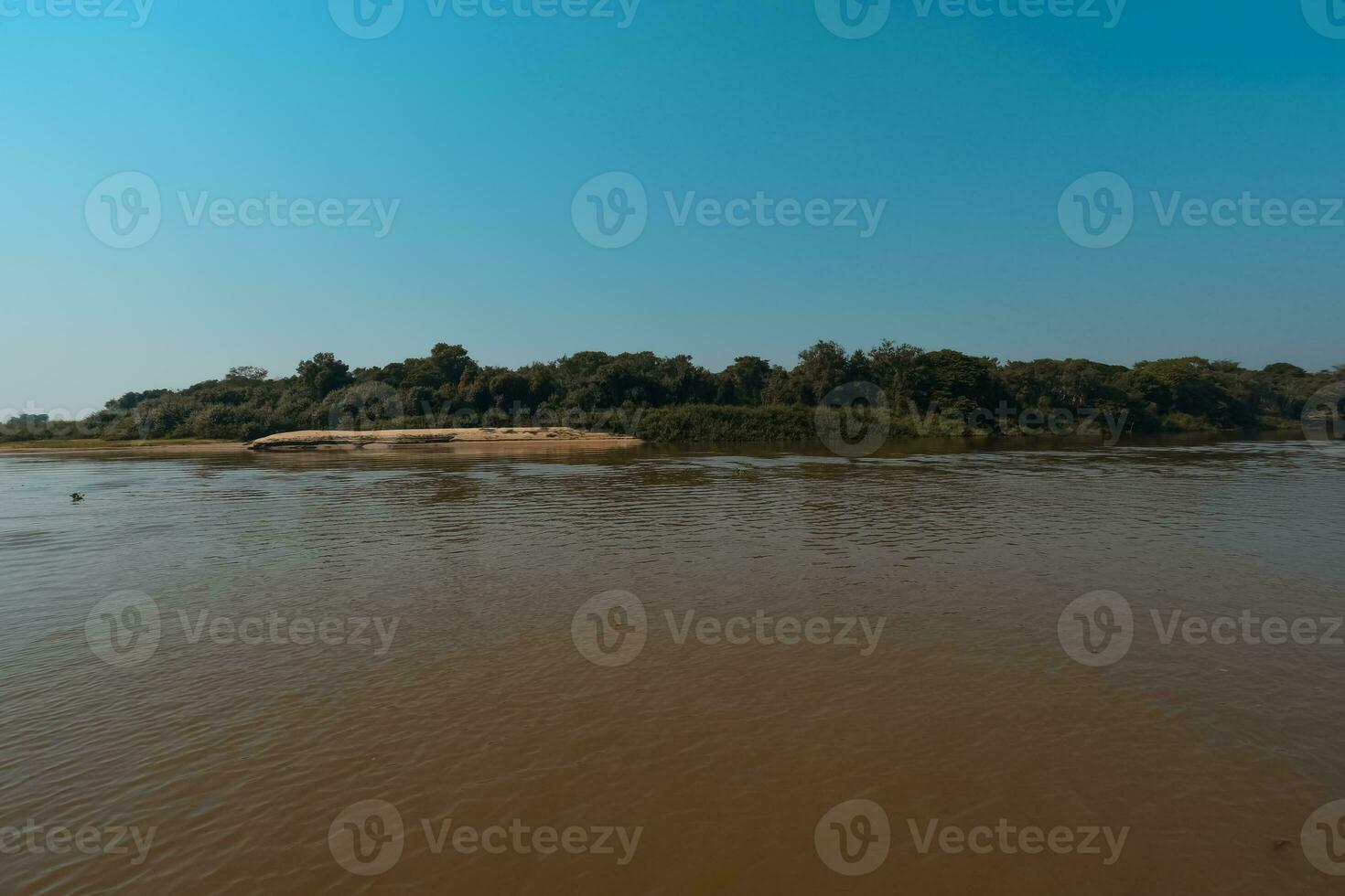 River landscape  and jungle,Pantanal, Brazil photo