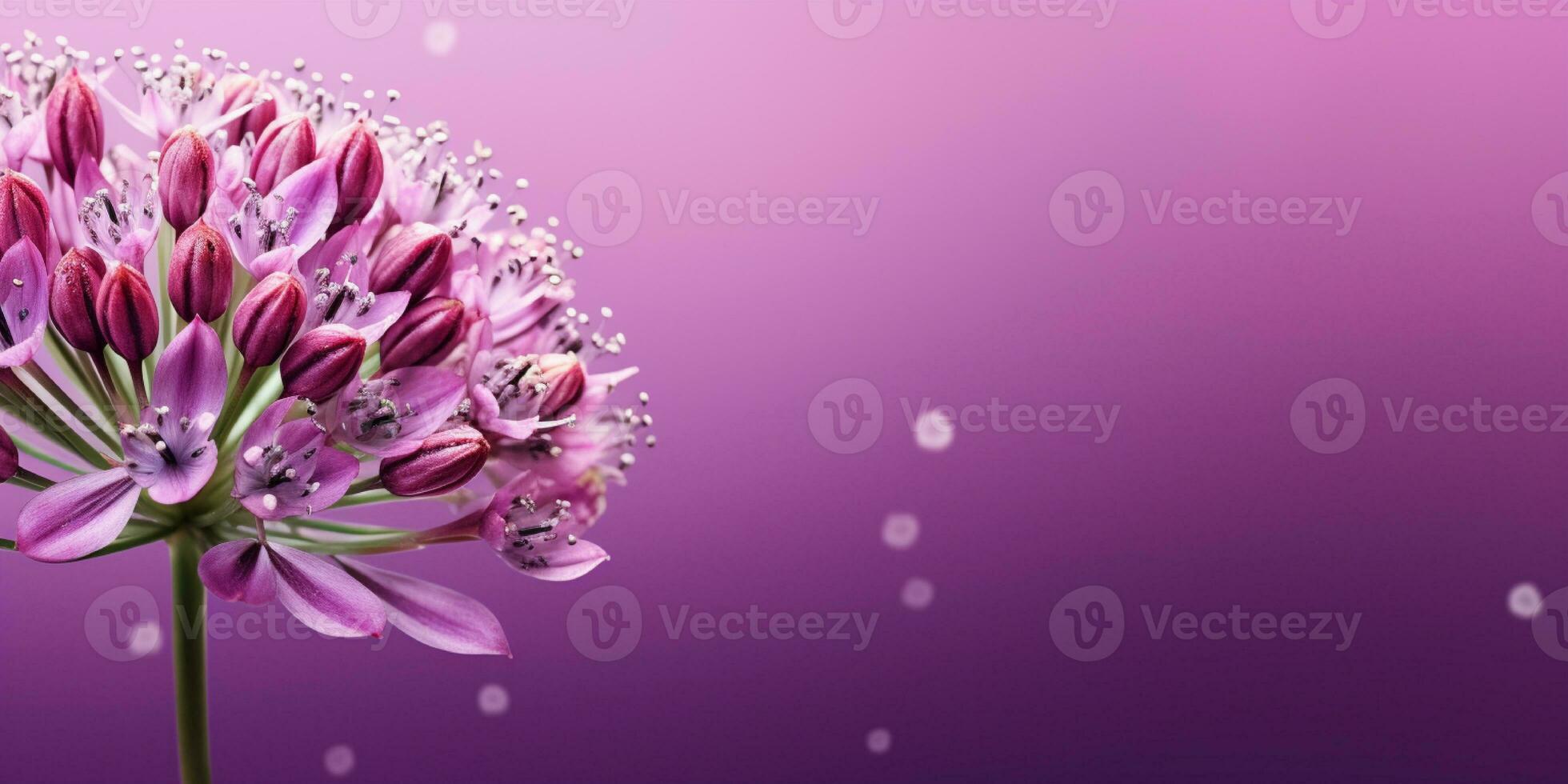 Beauty purple flower, garden decoration, copy space blurred background, AI Generated photo