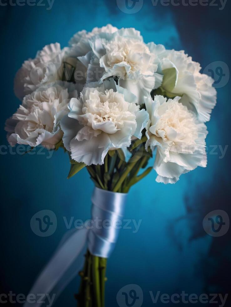 Carnation flower copy space background. photo