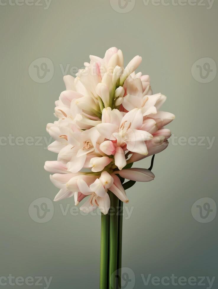 Tuberose flower bridal bouquet blurred background. AI Generated photo