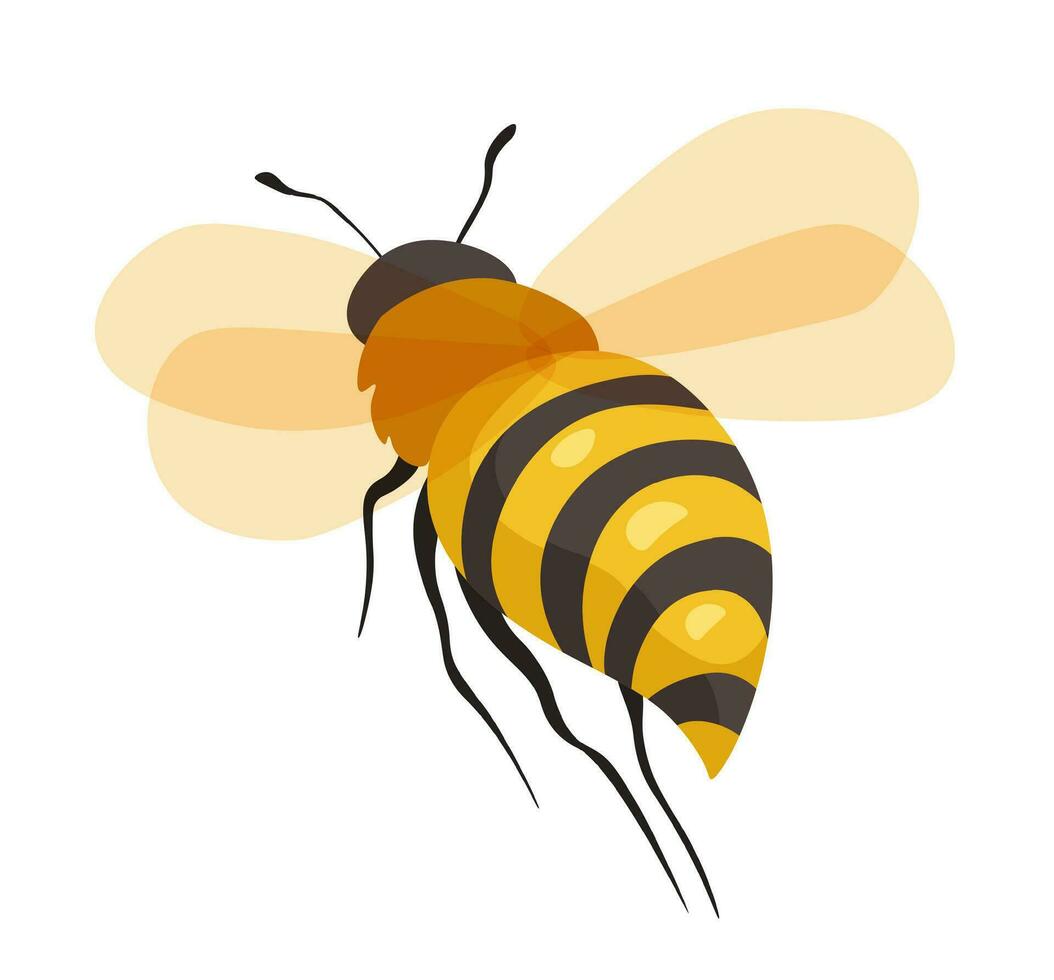 Bee insect, honeybee character in closeup vector