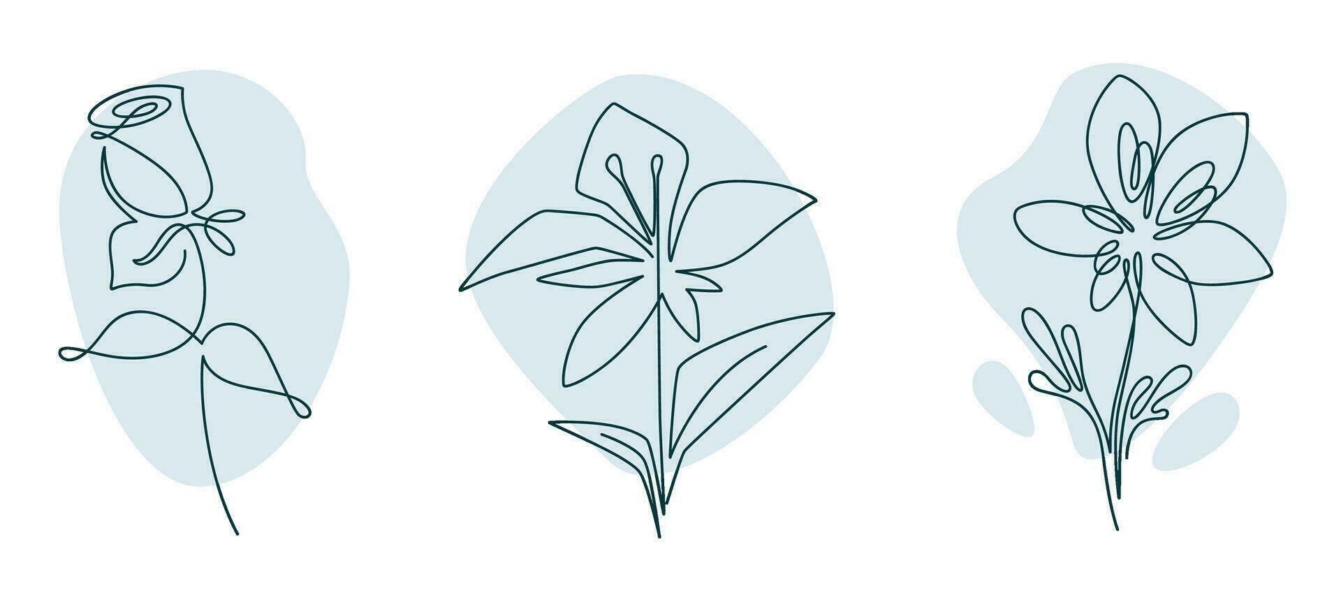 Minimalist flowers in blossom drawing vectors