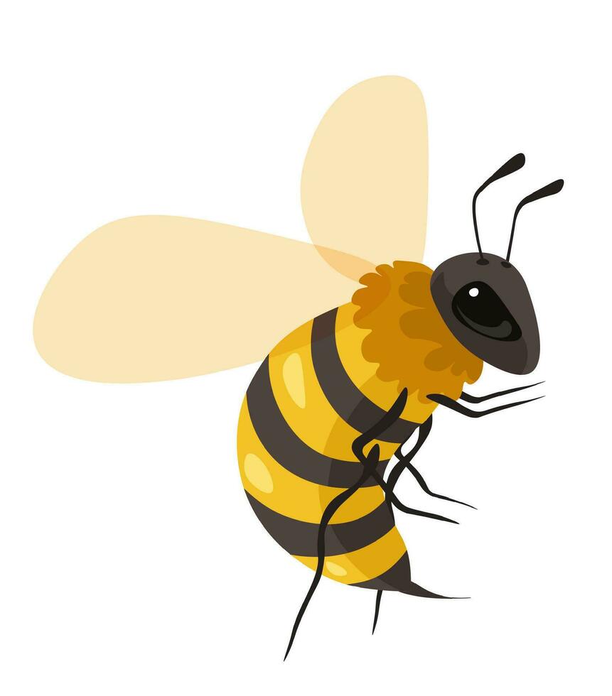 Beekeeping and apiary, honeybee insect portrait vector