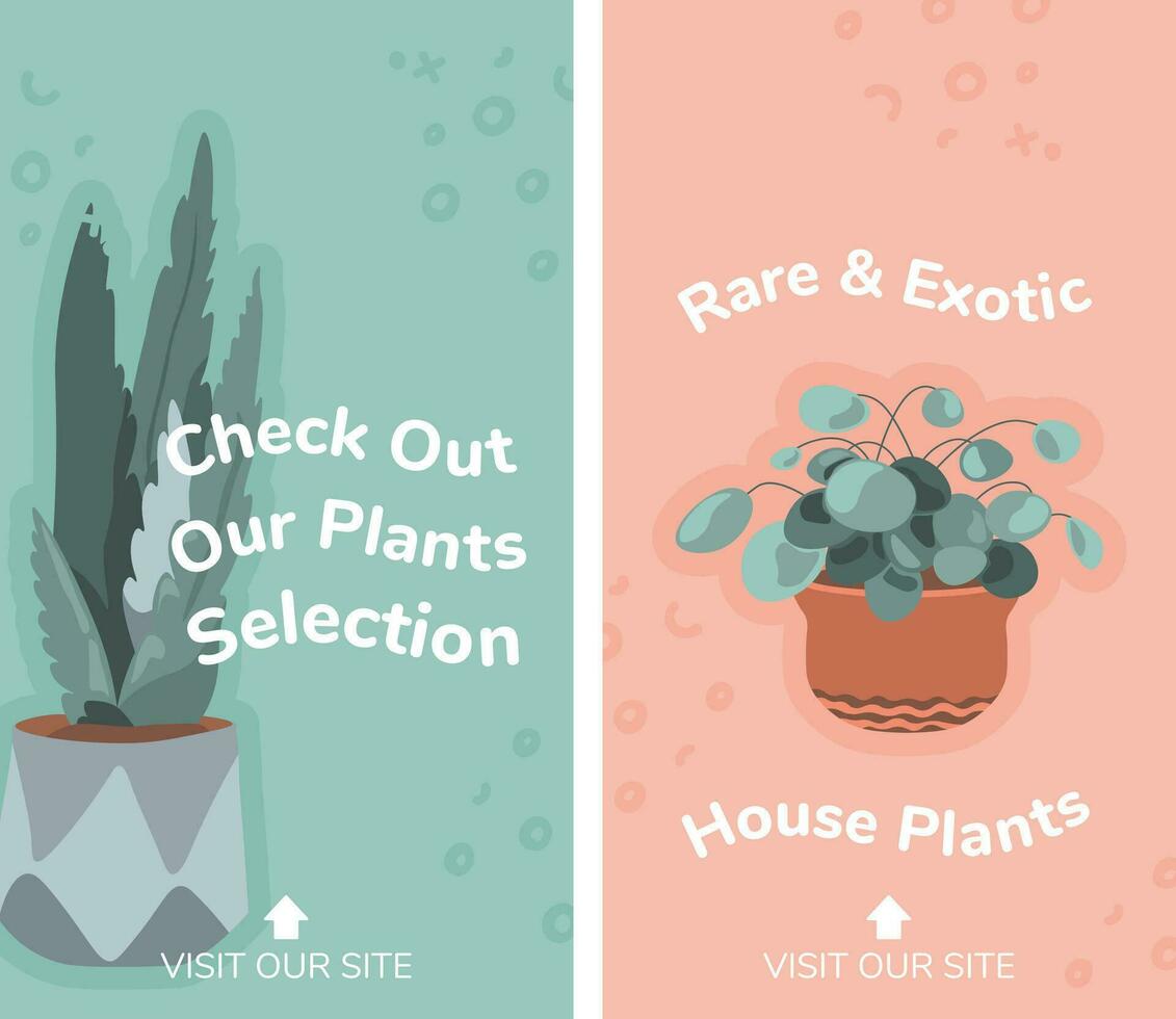 Rare and exotic house plants, check out selection vector