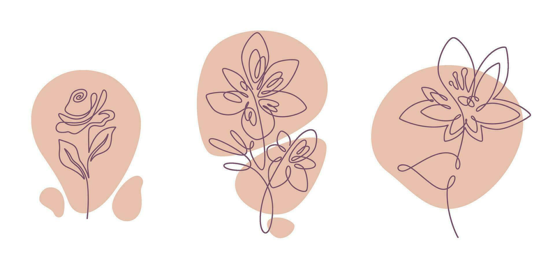 Flourishing flora and vegetation, leaves branches vector