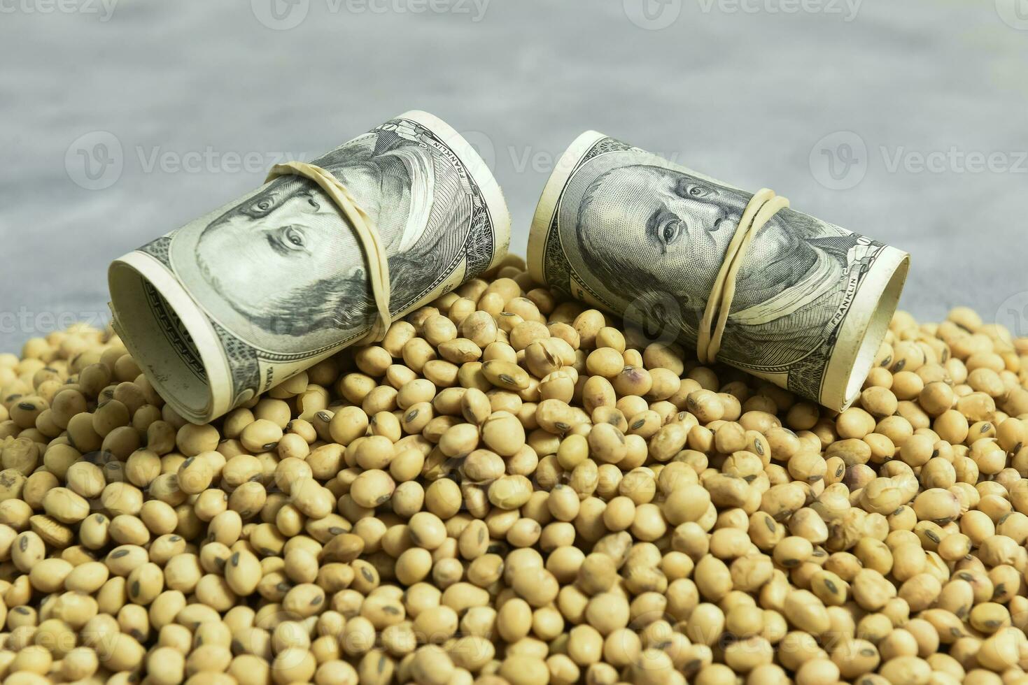 Dollars banknotes and coins and soy beans,oleaginous commoditi value concept. photo