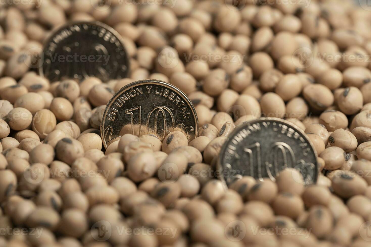 Dollars banknotes and coins and soy beans,oleaginous commoditi value concept. photo