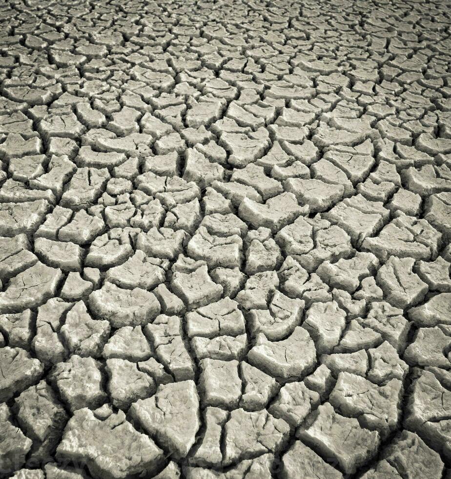 Broken soil in Pampas environment , Patagonia, Argentina. photo