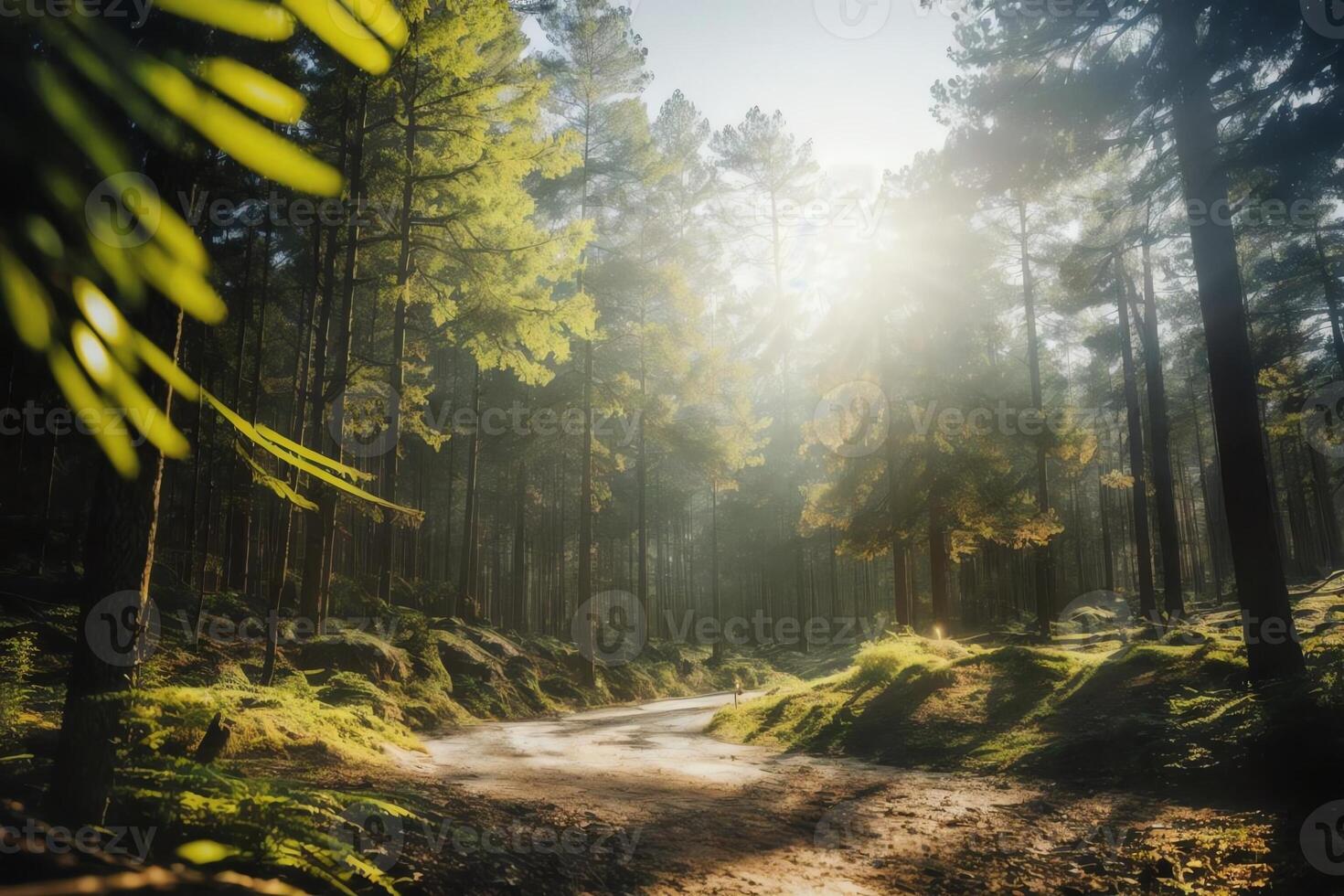 Image of Reconciliation Powerful Double Exposure Image of a Woman and a Forest . . photo
