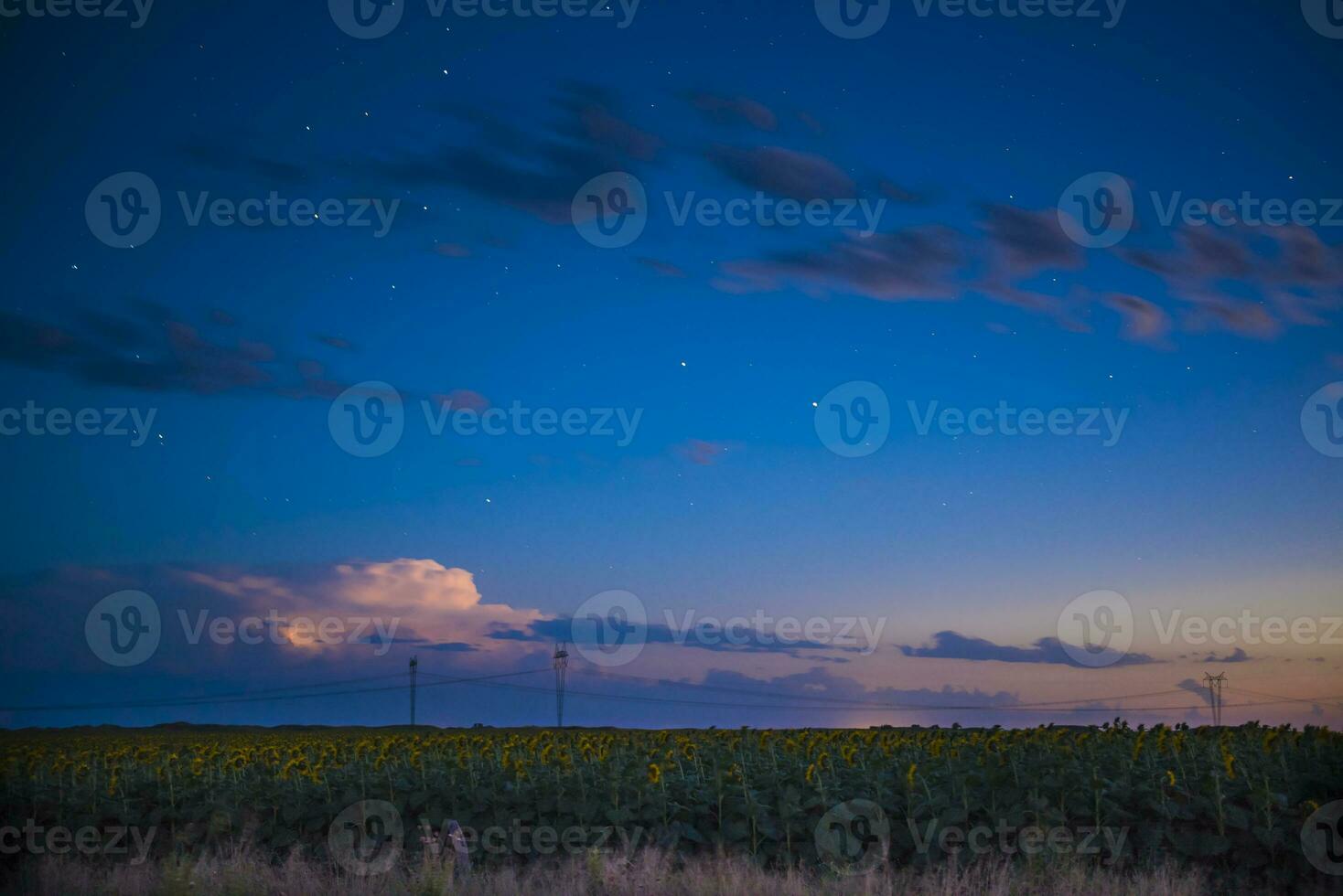 Route sign in Pampas Night Landscape, La pampa Province, Patagonia , Argentina. photo