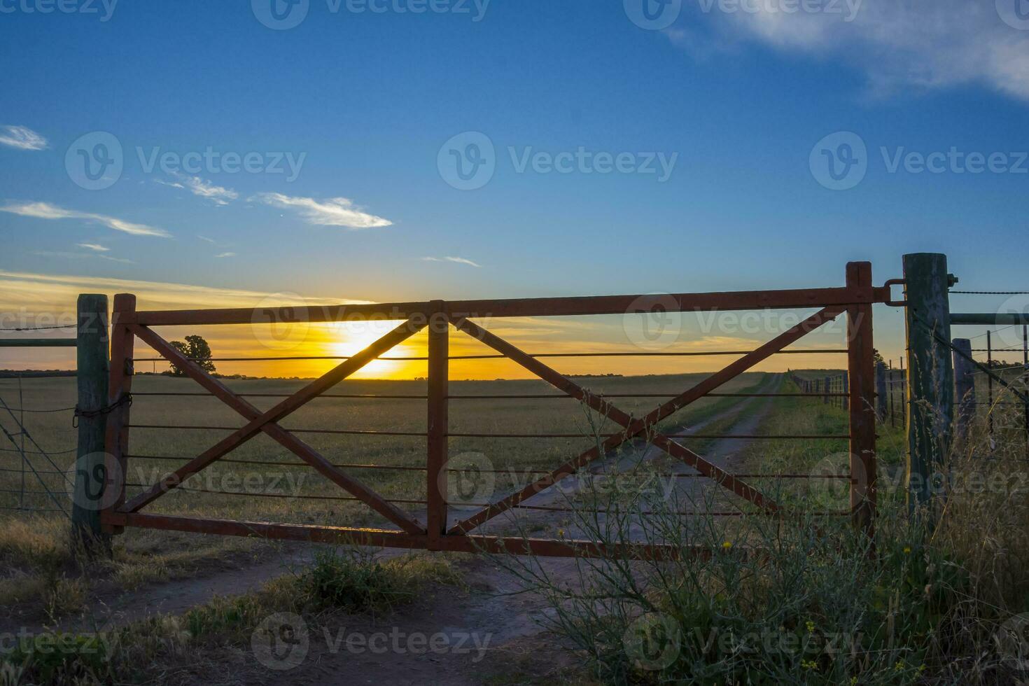 Field gateway in countryside, Buenos Aires province, Patagonia , Argentina photo