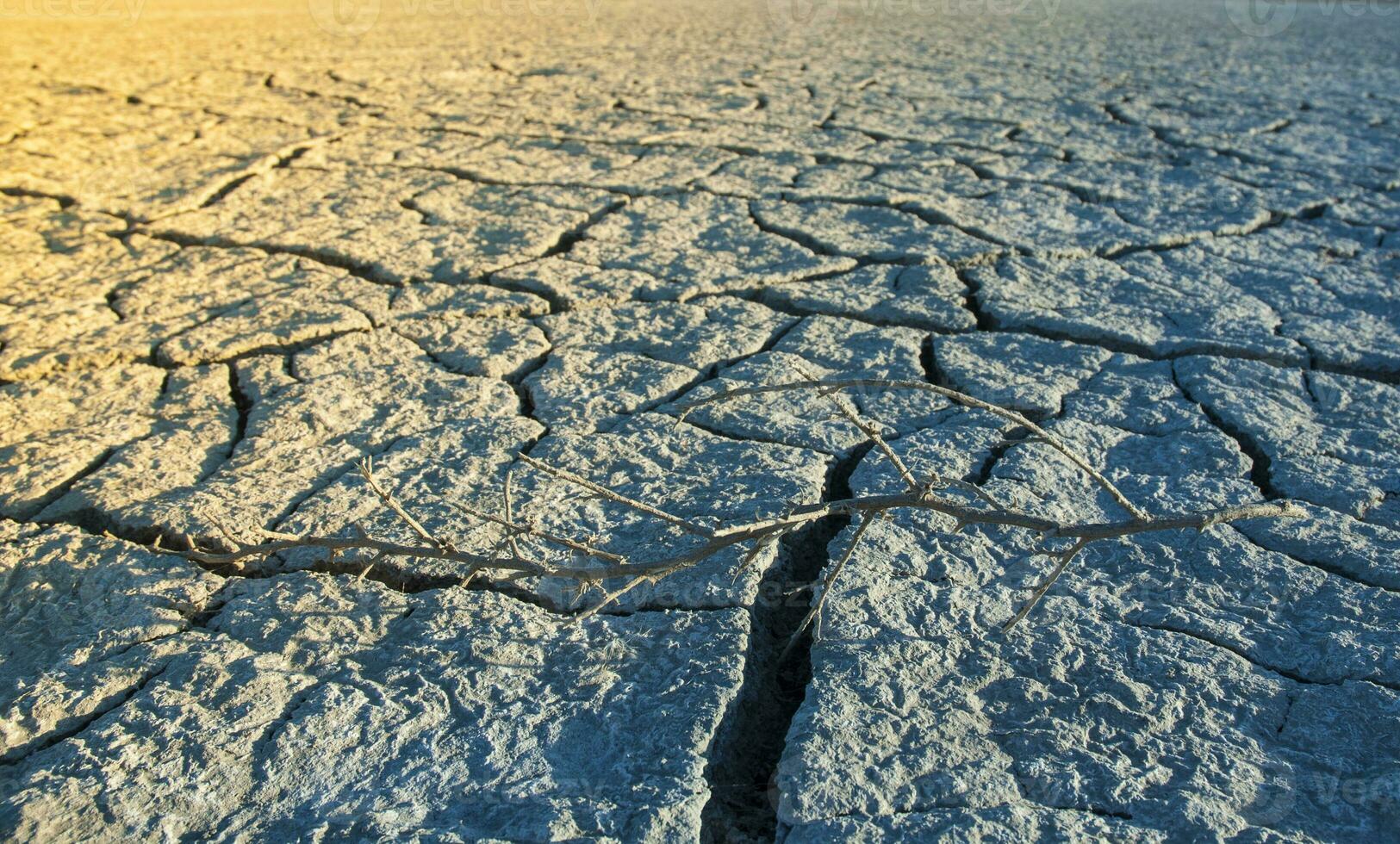 Broken soil in Pampas environment , Patagonia, Argentina. photo
