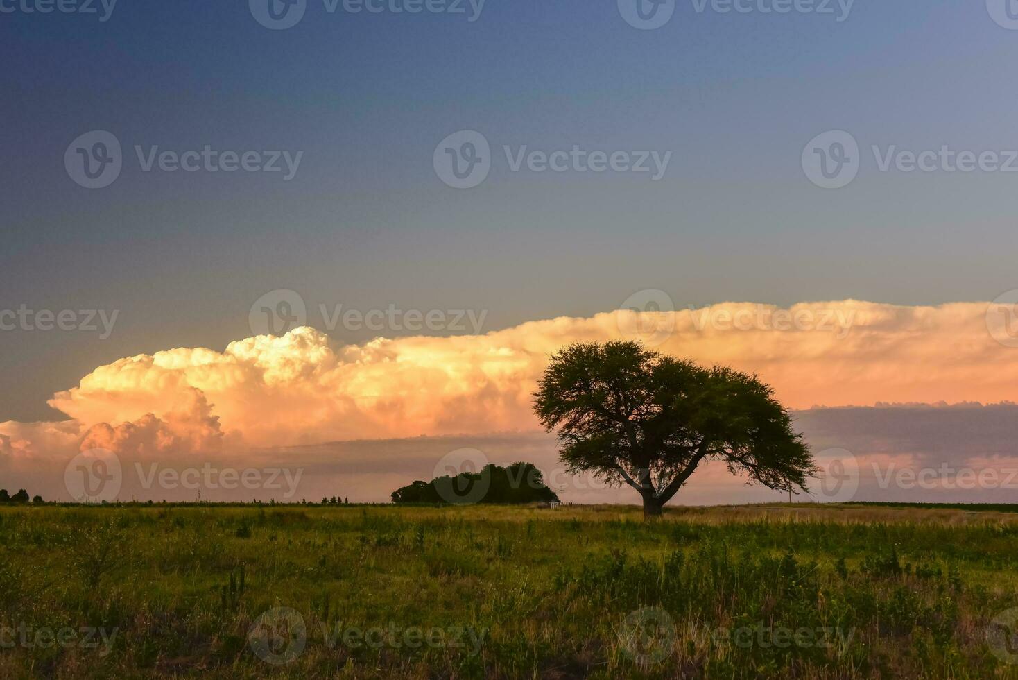 Storm rain  in rural landscape, La Pampa Province, Patagonia, Argentina. photo