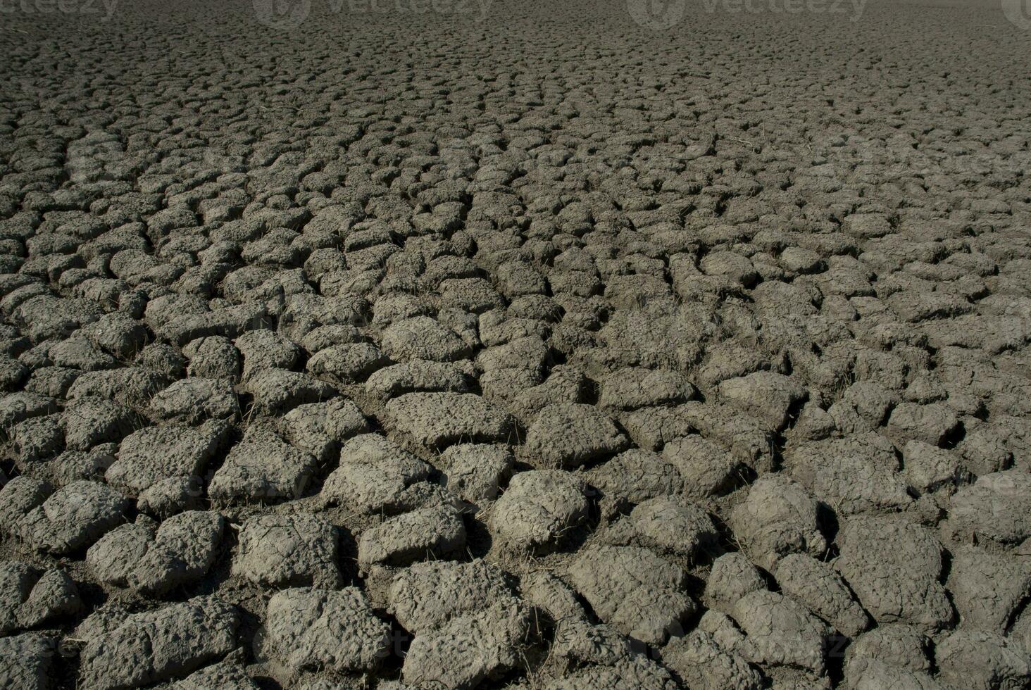 Broken soil in Pampas environment , Patagonia, Argentina. photo