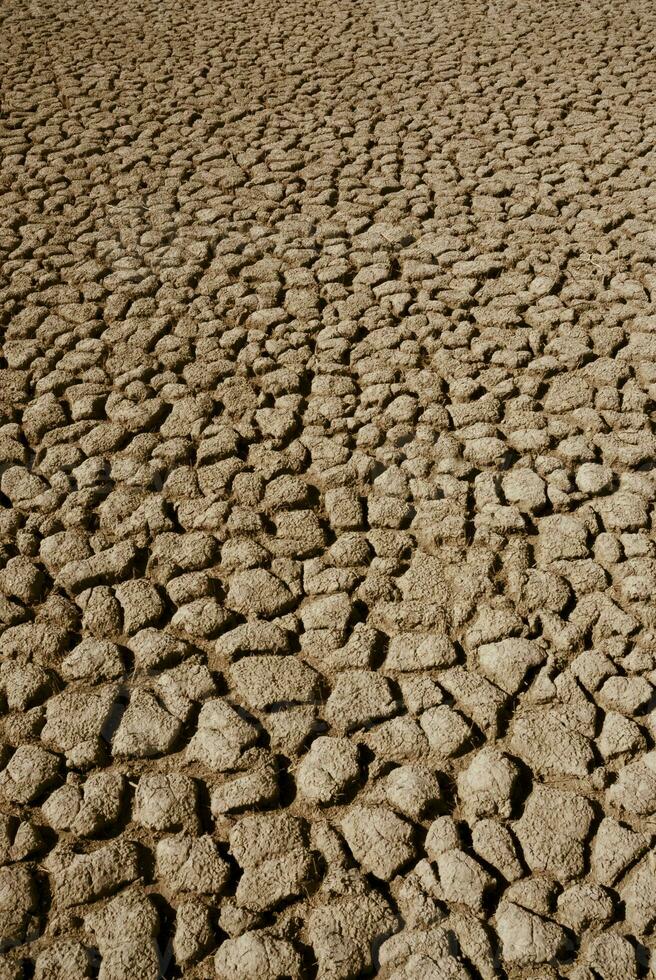 Broken soil in Pampas environment , Patagonia, Argentina. photo