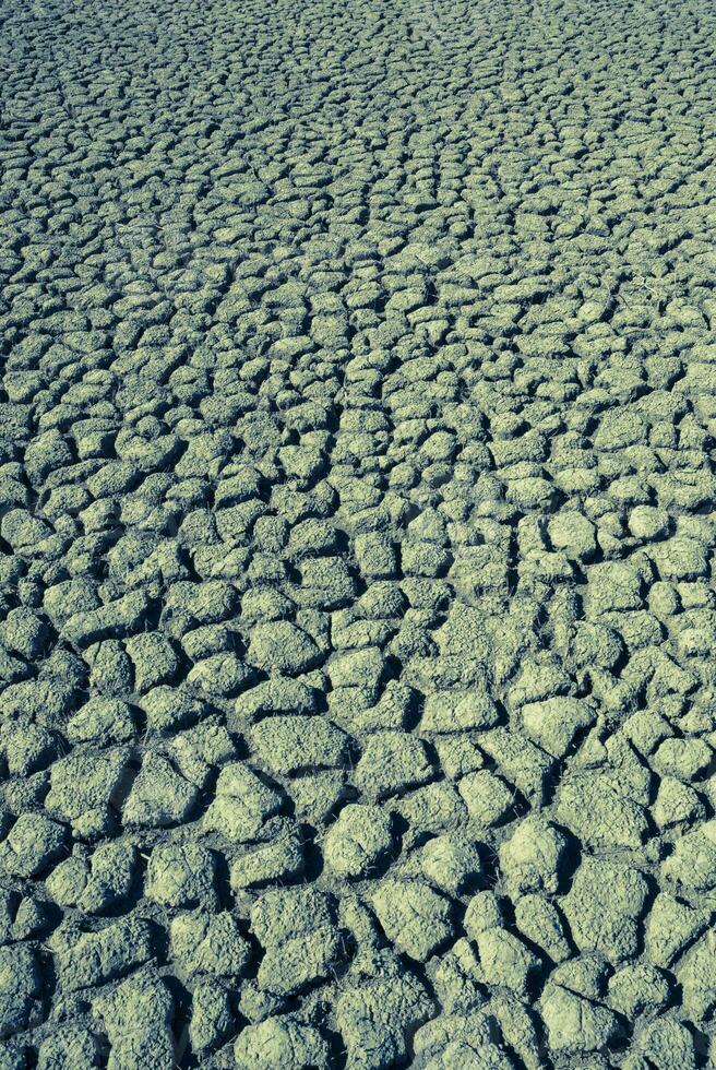 roto suelo en pampa ambiente , Patagonia, argentina. foto