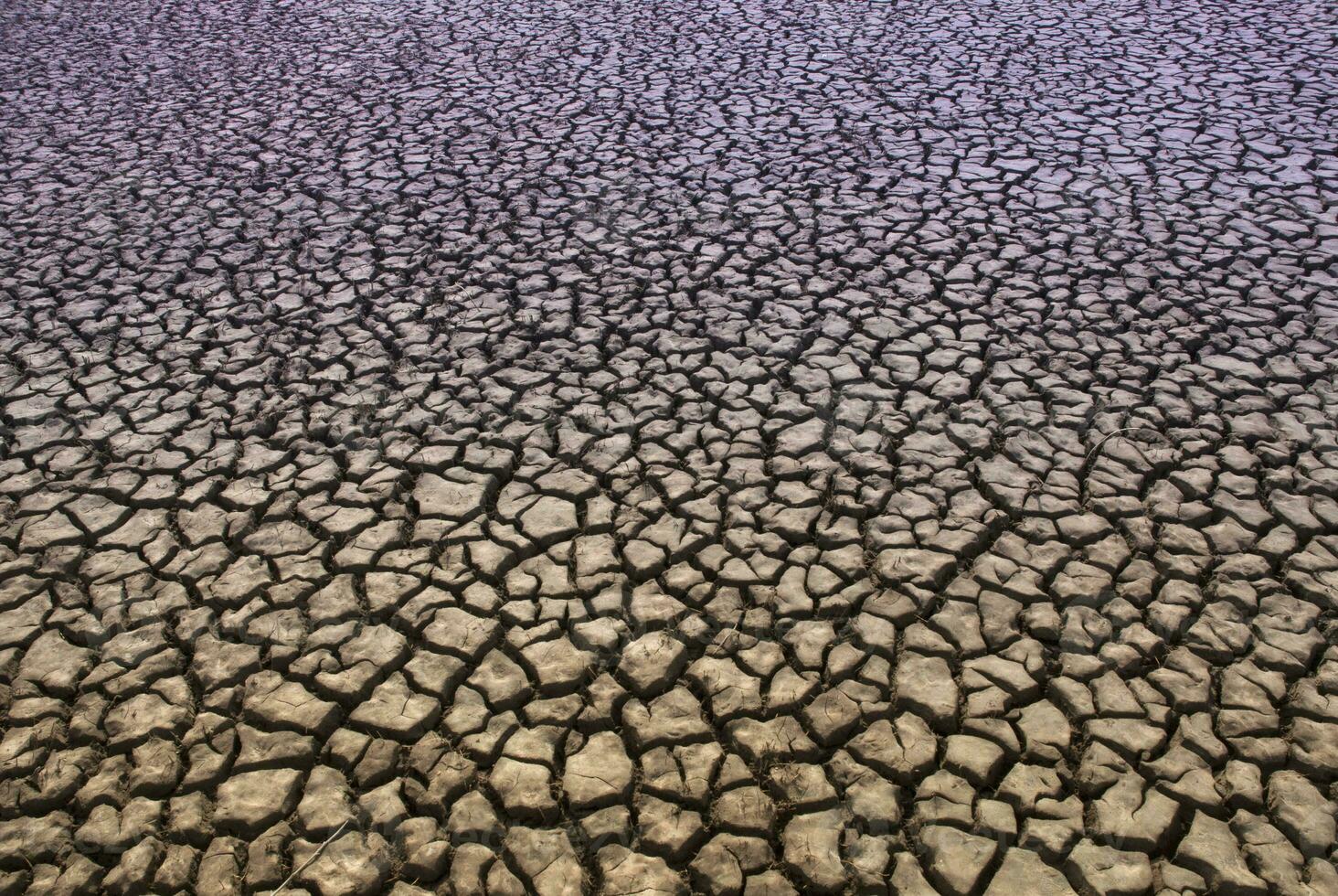 Broken soil in Pampas environment , Patagonia, Argentina. photo