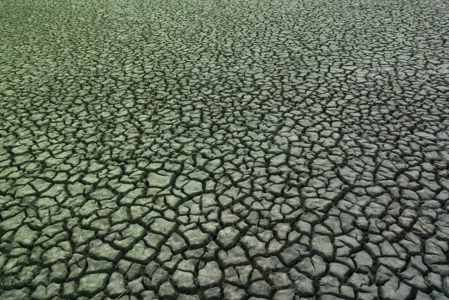 roto suelo en pampa ambiente , Patagonia, argentina. foto