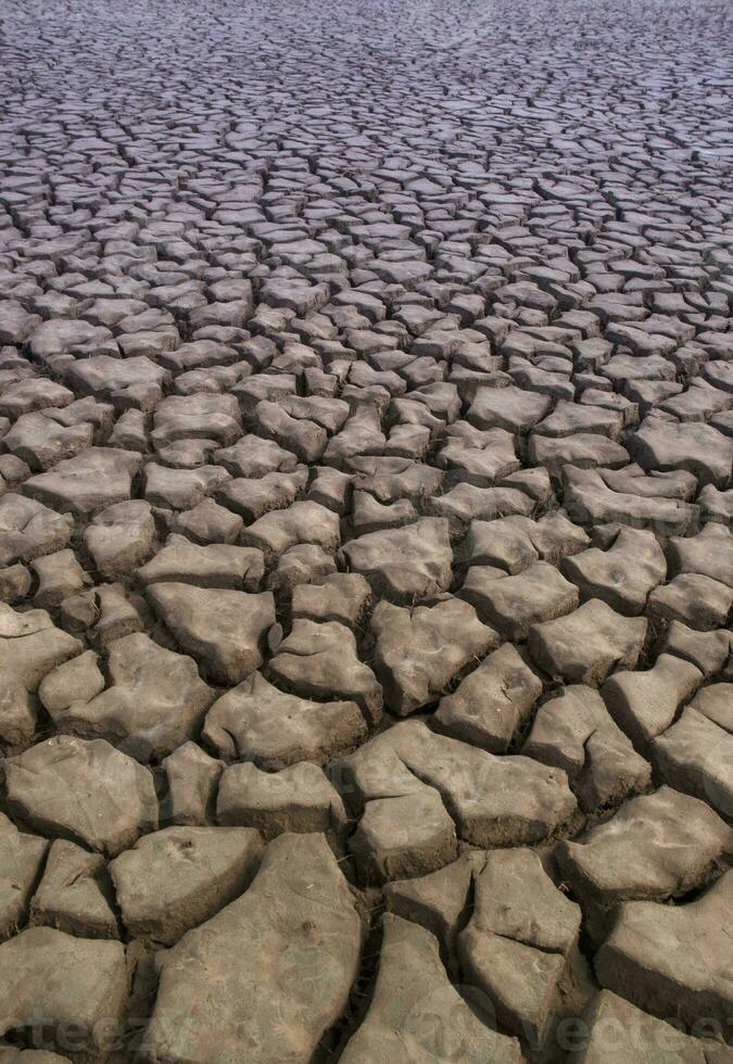 Broken soil in Pampas environment , Patagonia, Argentina. photo