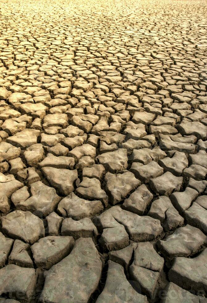 Broken soil in Pampas environment , Patagonia, Argentina. photo